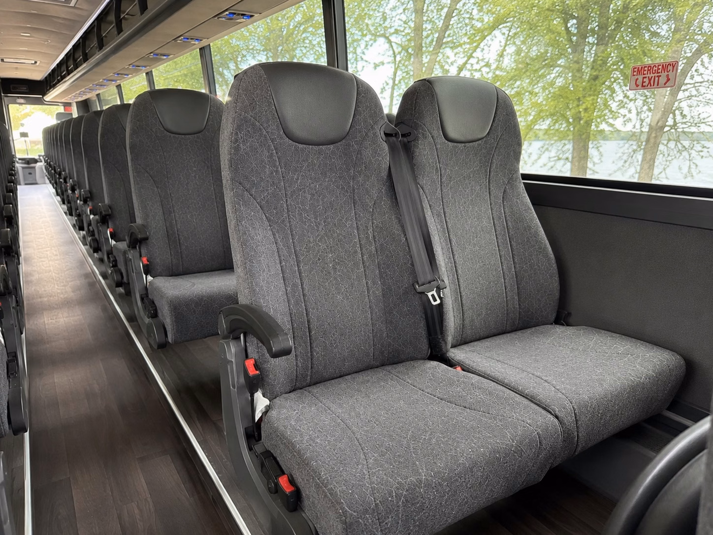 busrentalroseville com helps you arrange bachelorette party transportation in roseville and beyond