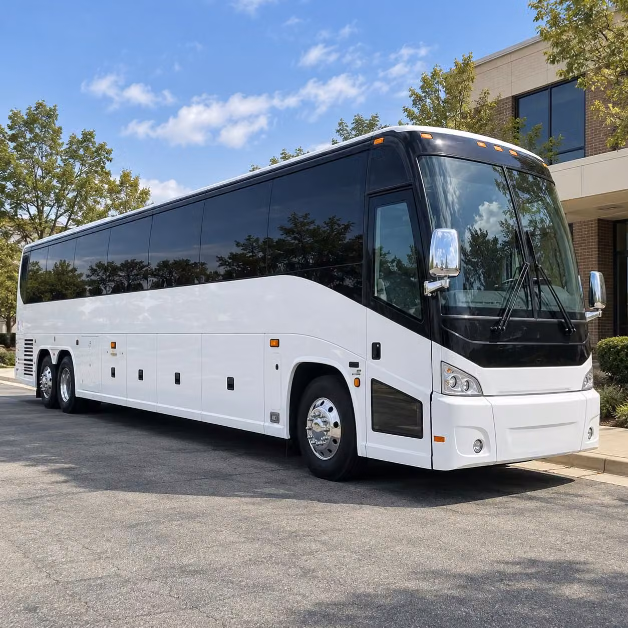 charter bus rentals for roseville school field trips to the sacramento zoo and beyond